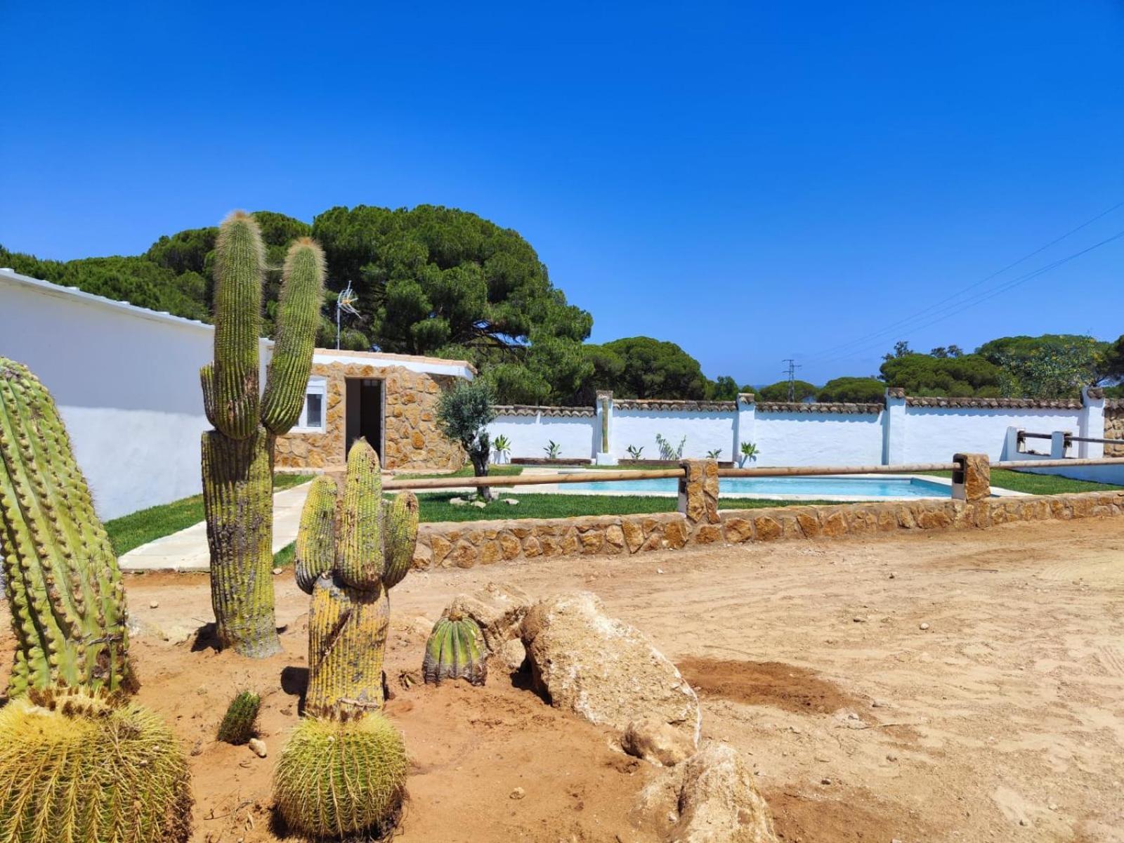 Villa Hacienda La Yerbabuena Cádiz Exterior foto