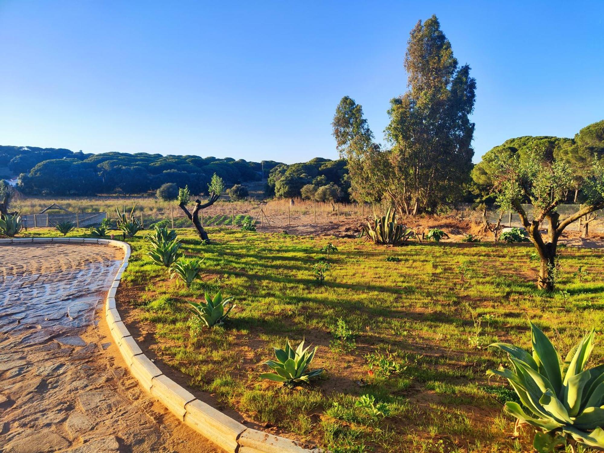 Villa Hacienda La Yerbabuena Cádiz Exterior foto